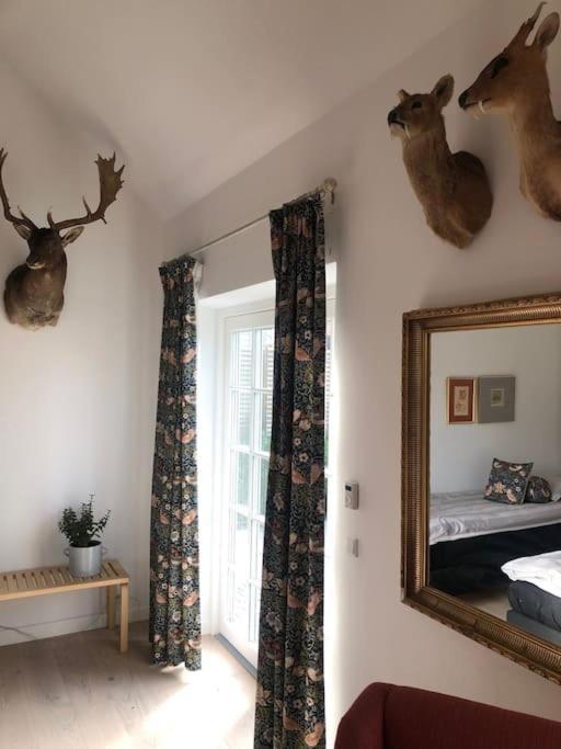 Cozy, Quiet Guest House Perfect For Business Or Pleasure Hillerød المظهر الخارجي الصورة