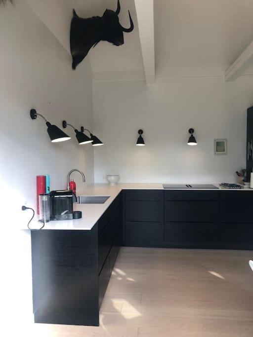 Cozy, Quiet Guest House Perfect For Business Or Pleasure Hillerød المظهر الخارجي الصورة