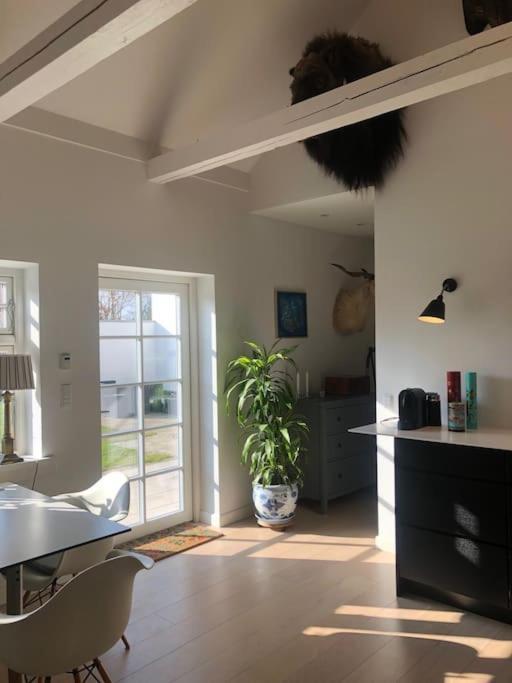 Cozy, Quiet Guest House Perfect For Business Or Pleasure Hillerød المظهر الخارجي الصورة