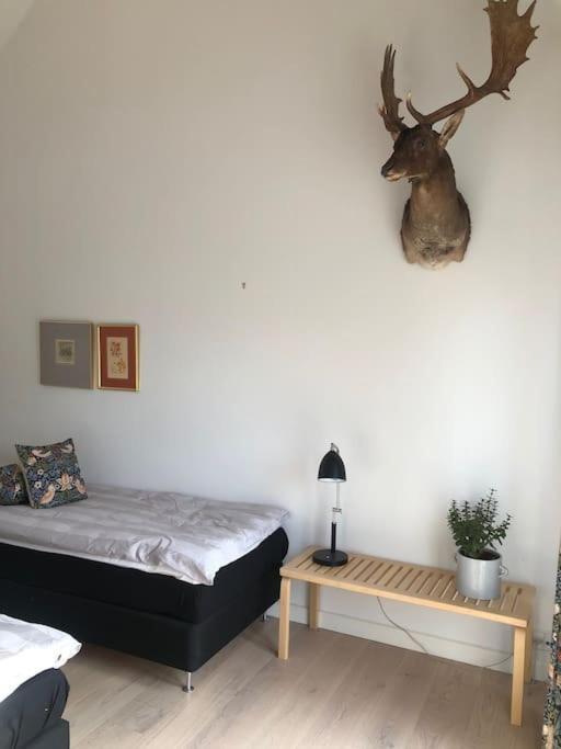 Cozy, Quiet Guest House Perfect For Business Or Pleasure Hillerød المظهر الخارجي الصورة