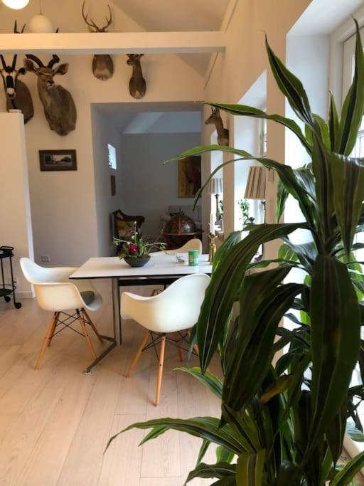 Cozy, Quiet Guest House Perfect For Business Or Pleasure Hillerød المظهر الخارجي الصورة