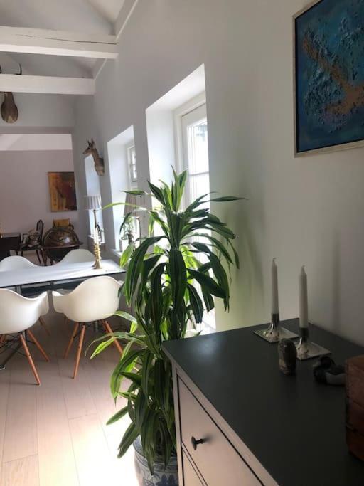 Cozy, Quiet Guest House Perfect For Business Or Pleasure Hillerød المظهر الخارجي الصورة
