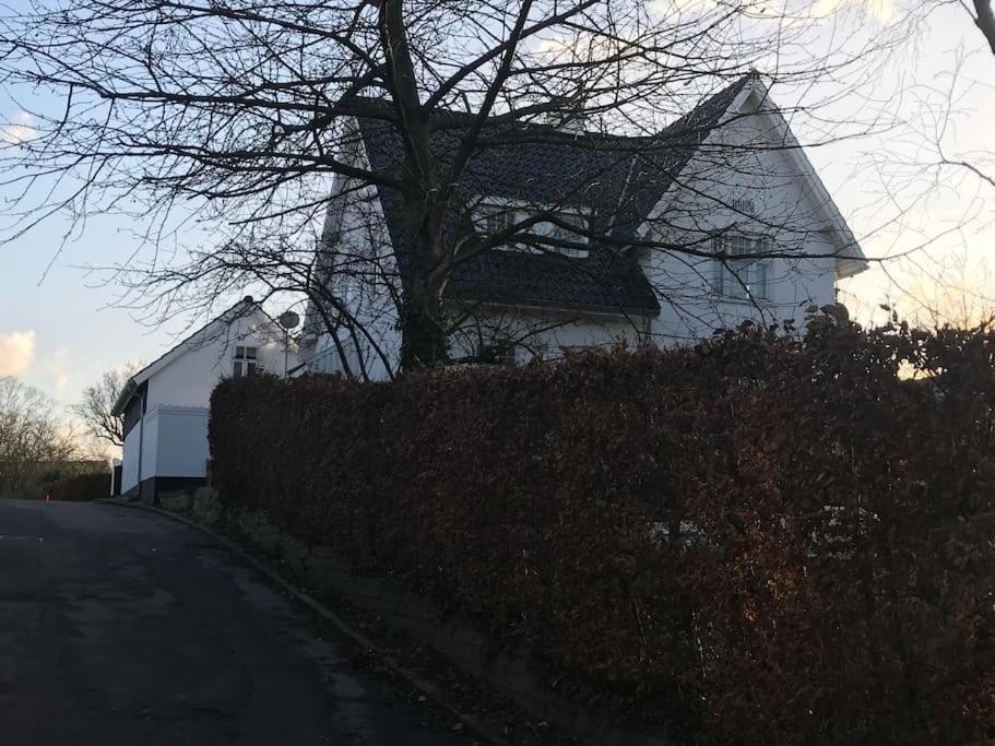 Cozy, Quiet Guest House Perfect For Business Or Pleasure Hillerød المظهر الخارجي الصورة