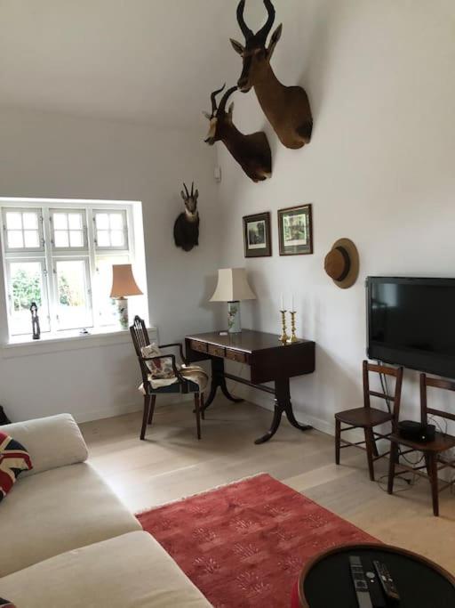 Cozy, Quiet Guest House Perfect For Business Or Pleasure Hillerød المظهر الخارجي الصورة